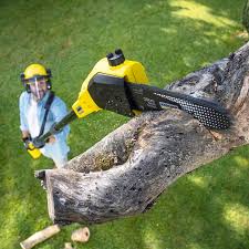 Lawn Pest Prevention in Moosic, PA